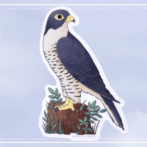 3 for $15 - Falcon Bird Sticker - Waterproof Vinyl Nature & Wildlife Decal - Picture 1 of 7